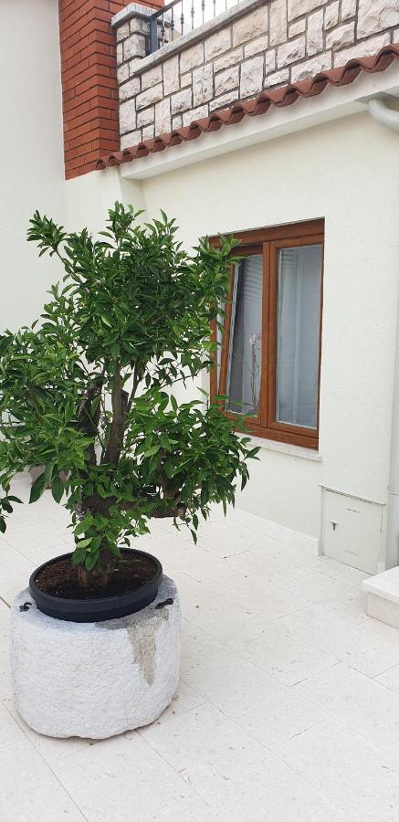 Haus Silvia Apartment Rovinj Ngoại thất bức ảnh